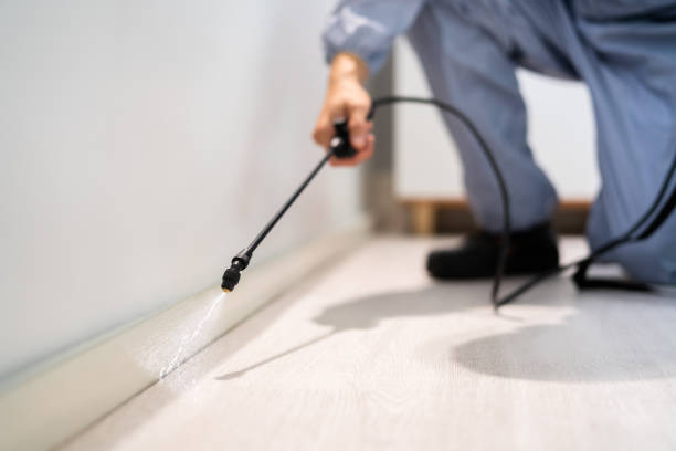 Licensed Rodent Control service in Conrad, MT - Nex Pest Control