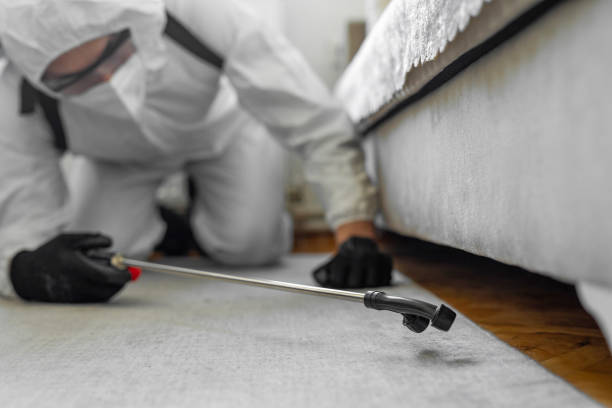 Professional Rodent Control technician working in Conrad, MT